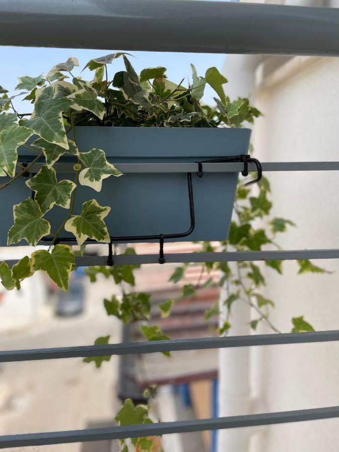 Holiday House Da Vinci Apartment Terrasini Luaran gambar