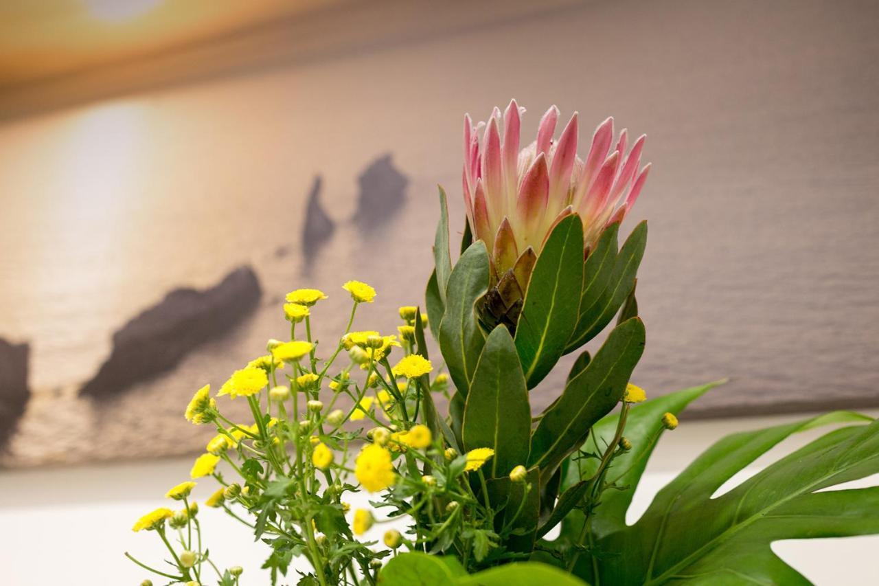 Holiday House Da Vinci Apartment Terrasini Luaran gambar